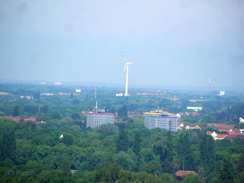 T 20220520-0058-.JPG
